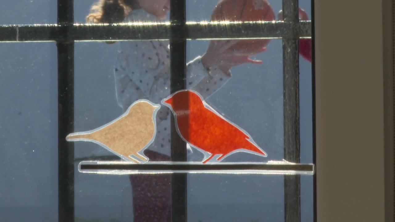 Child Looking at Birds on Stained Glass Window