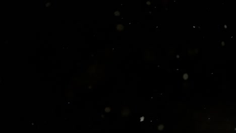 bokeh shot snowfall with black background, white snowflakes are falling in slow motion, darkness, copy space
