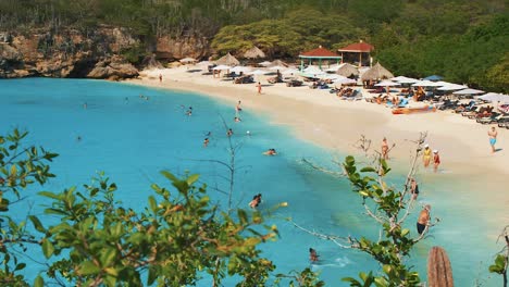 grote knip beach in curacao - tourists enjoying the bright blue sea water while others are sunbathing in the shore on a sunny weather - panoramic shot