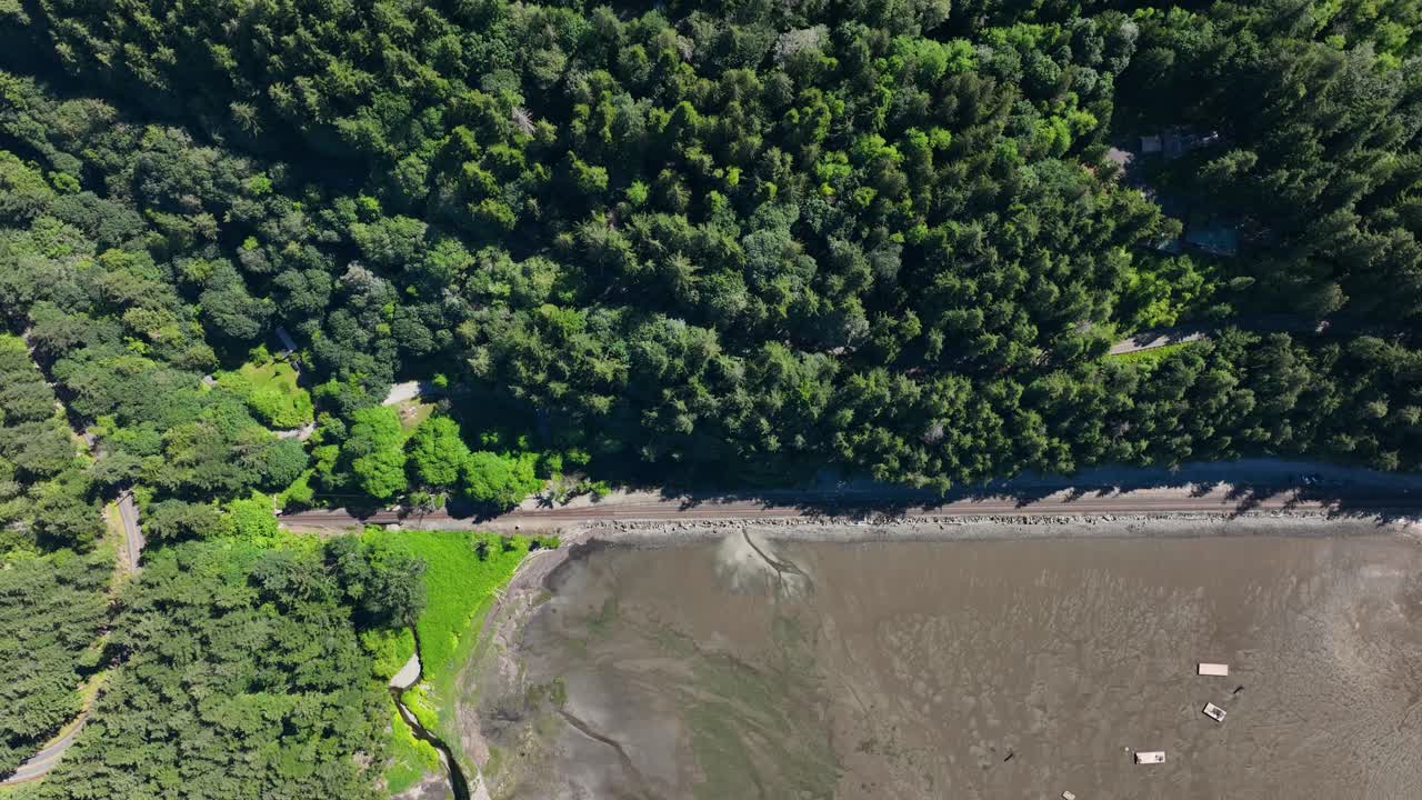 한쪽에는 숲이 있고 다른 한쪽에는 해변이 있는 기차 트랙 위로 하향식 샷