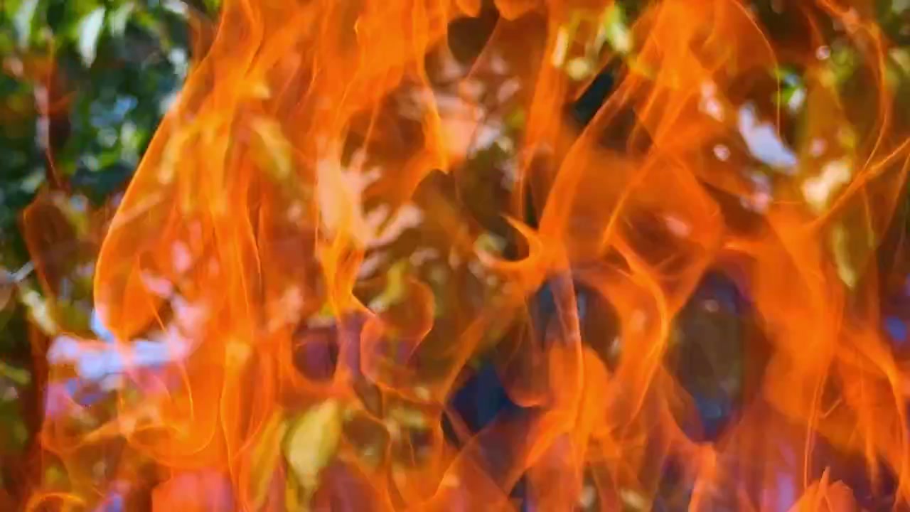 Texture dinamica di fiamme di fuoco arancione brillante che bruciano all'aperto. Texture di un falò caldo e ardente con scintille gialle e sfondo sfocato di alberi estivi.