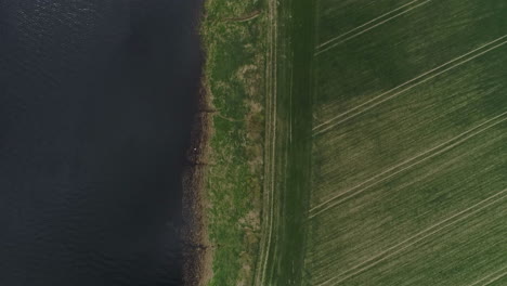 River-crossing-green-fields