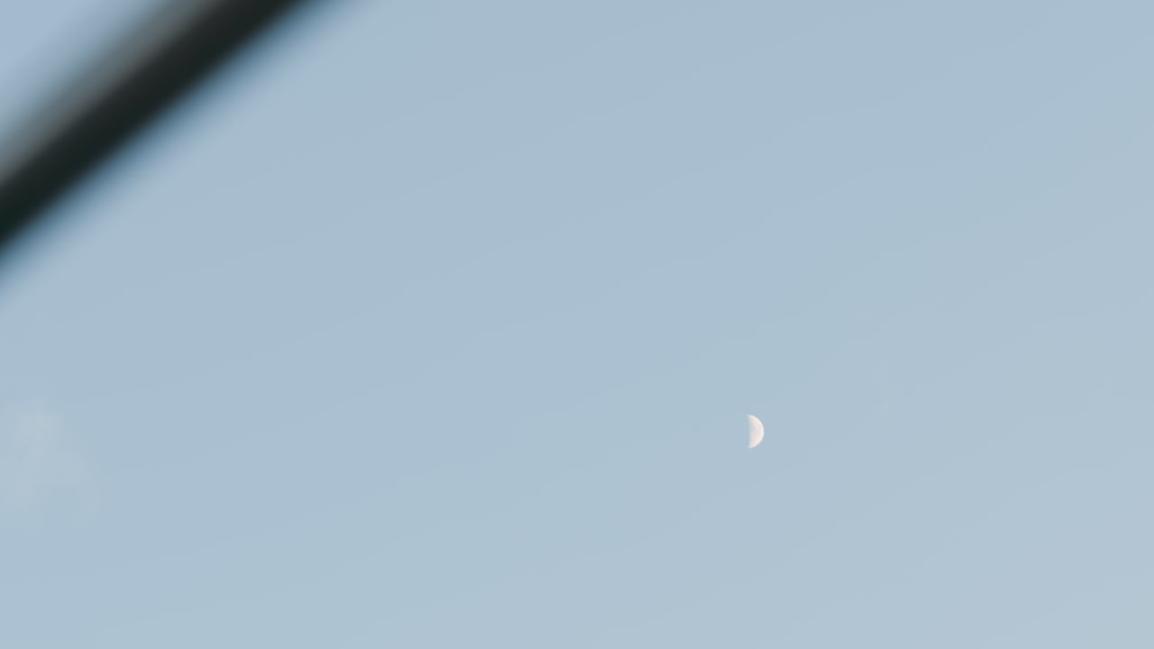 Clear view of half illuminated moon against serene pale blue sky, subtle cloudless backdrop highlighting cratered surface details in soft daylight offering tranquil timeless celestial scene