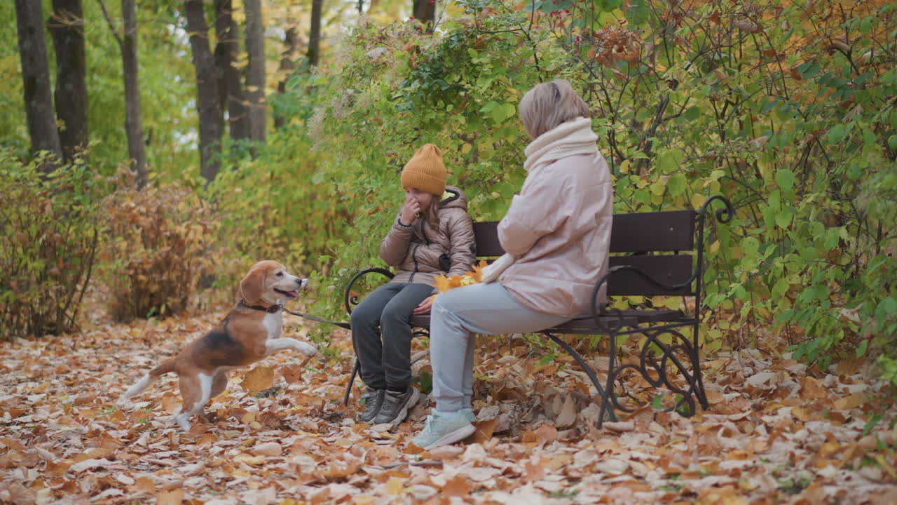 woman interacts with excited dog while seated on park bench beside daughter during autumn day in forest, ground covered with fallen leaves, vibrant foliage surrounds peaceful family bonding moment