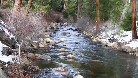 wide view of winter time stream flowing towards the camera