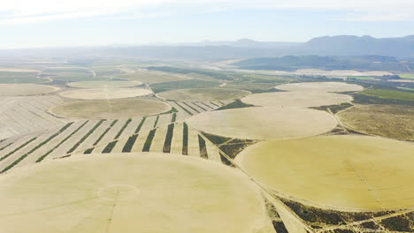 Una-Obra-Maestra-Agrícola