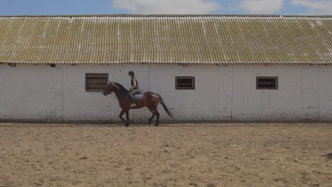mujer a caballo en un establo