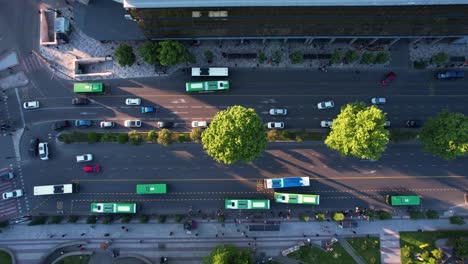 buses on the bus lane