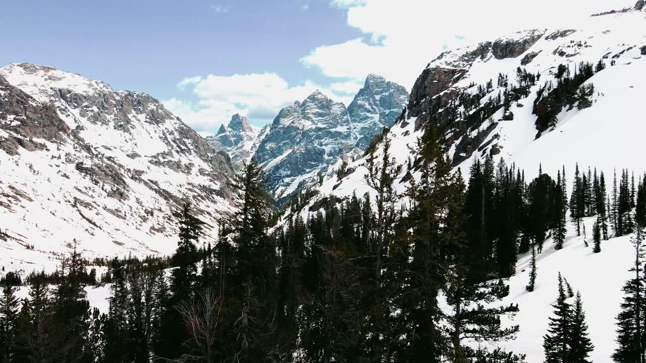 drone revelando montañas y árboles