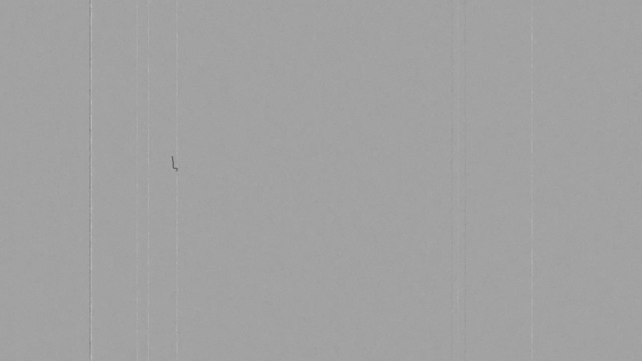 Vintage Film Grain Overlay with Scratches and Dust