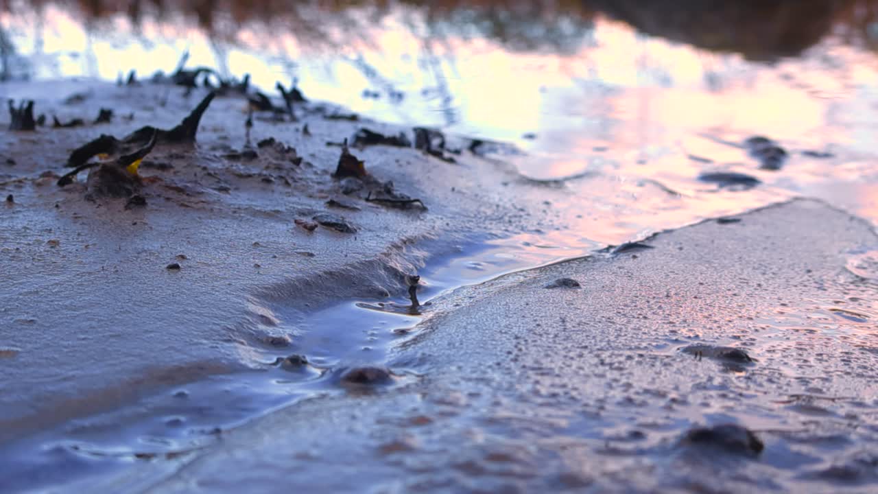 Close up gorgeous video of small water stream flowing on wet sandy beach seaside shoreline during sunset into reflective sunset water with red colors and beach grass and reeds reflecting in it