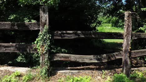 lopen langs een houten balk