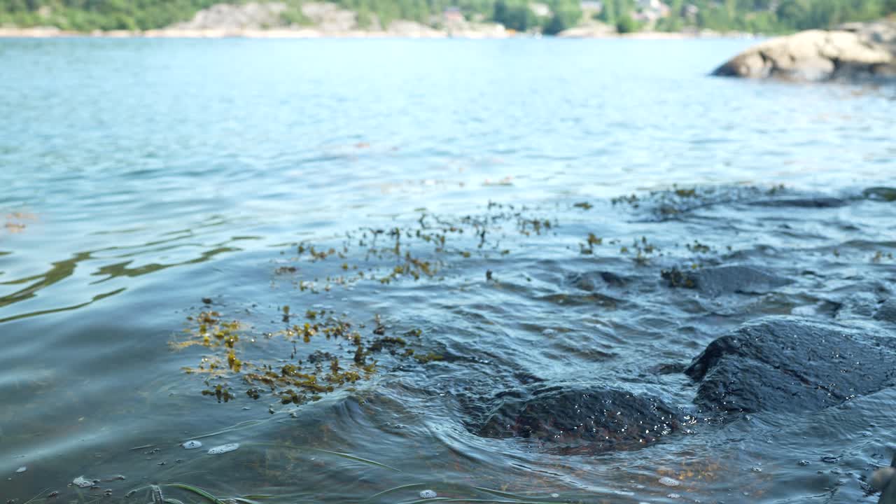 Gentle waves lap against a rocky shoreline, showcasing patches of seaweed in clear water under the soft sunlight of late afternoon. The tranquil setting invites reflection and appreciation of nature