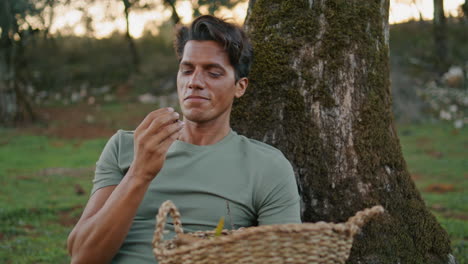 jardinero satisfecho olor a oliva en plantación al atardecer primer plano verticalmente video