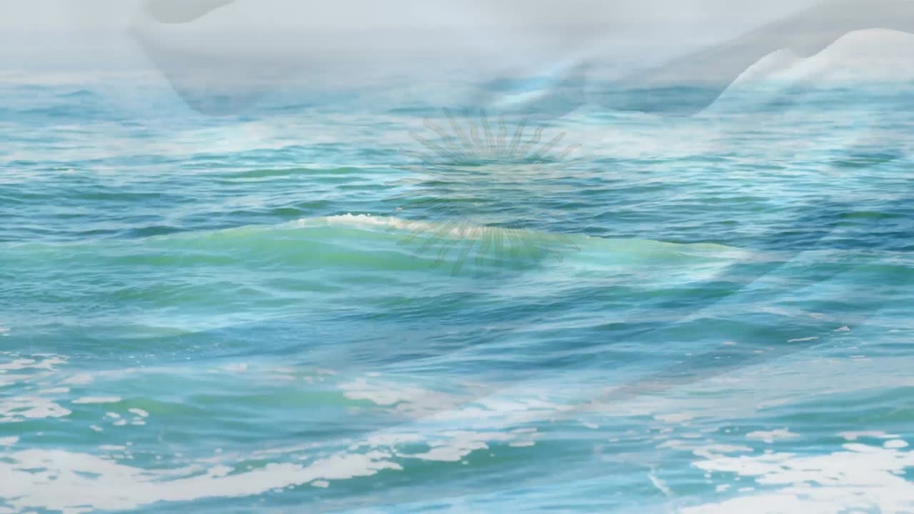 아르헨티나의  ⁇ 발이 바다의 파도 위에서 날아다니는 애니메이션