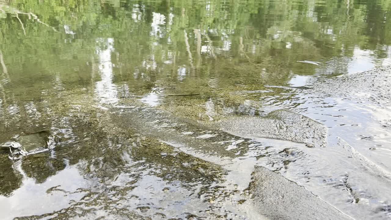 Primer plano de agua clara de río con reflejos de árboles y ondulaciones