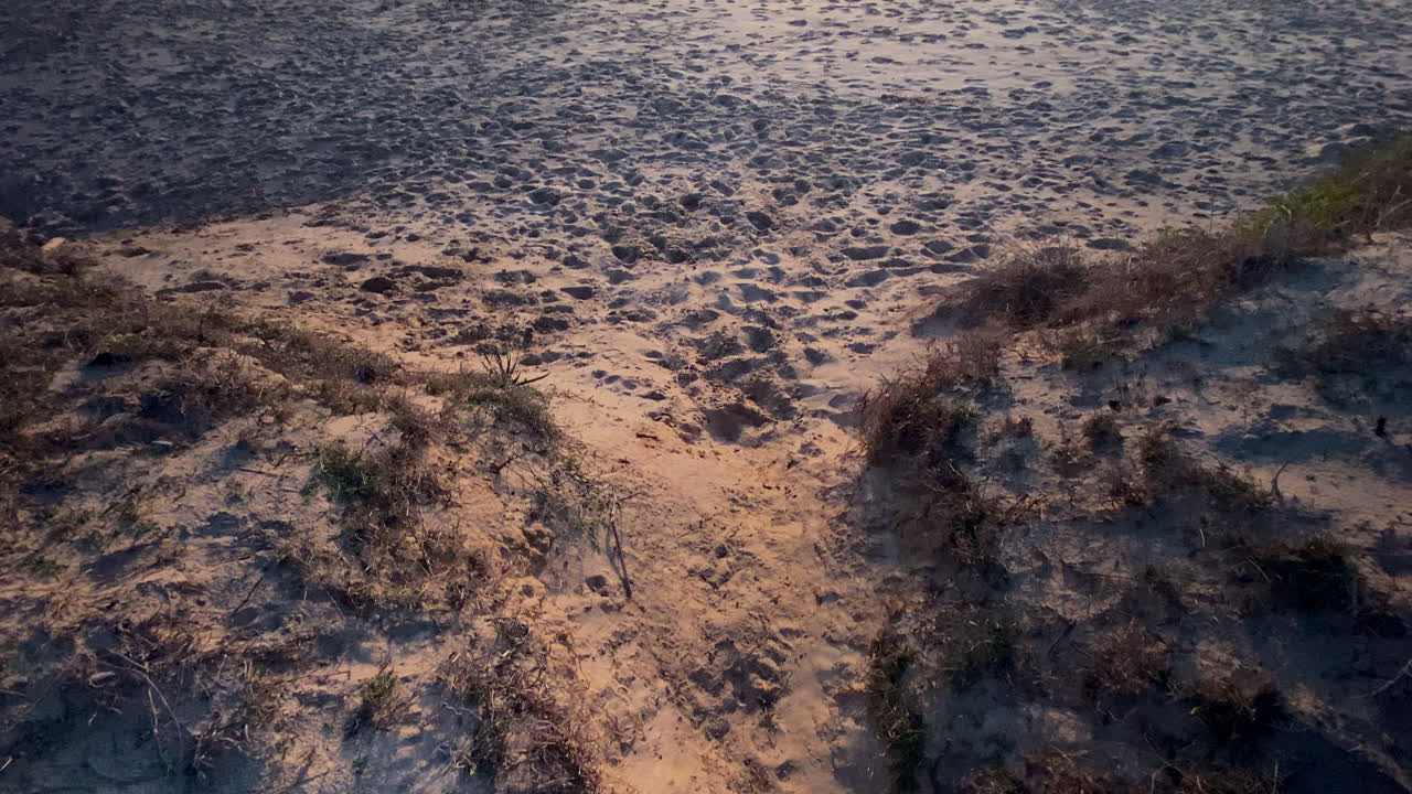the Footprints lead through soft golden dunes towards the reef and open waves of Costa Ballena under a bright winter sky