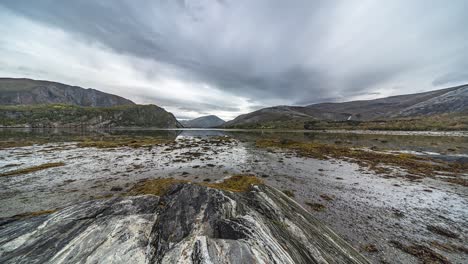 rocky shore and a sandy fjord bottom exposed by the low tide are covered with kelp and seaweed