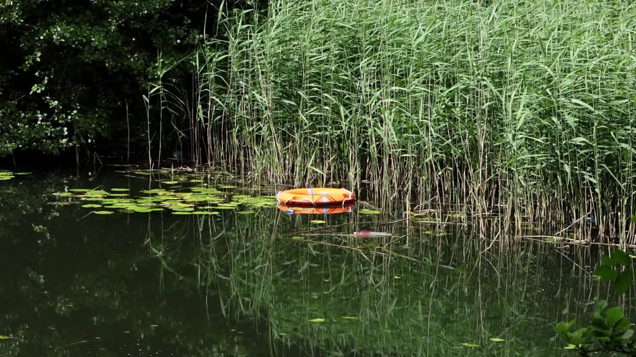 A life belt that has been thrown in a lake by vandals. Summer. UK