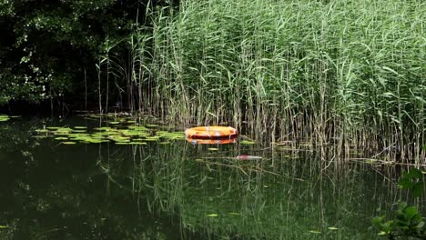 a life belt that has been thrown in a lake by vandals. summer. uk