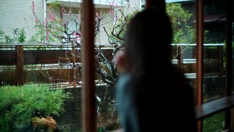 rainy day view from a japanese house window