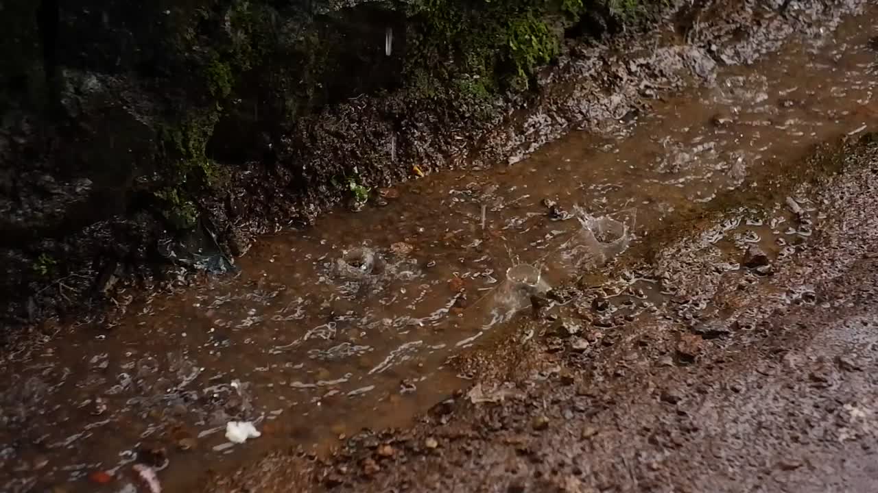 fuertes lluvias empapando el suelo en el jardín