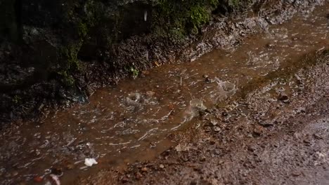 Fuertes-Lluvias-Empapando-El-Suelo-En-El-Jardín