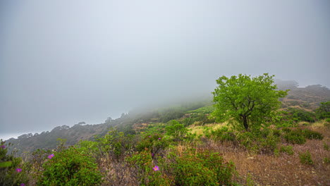 Dense-fog-covering-mountain-ridge,-time-lapse-view
