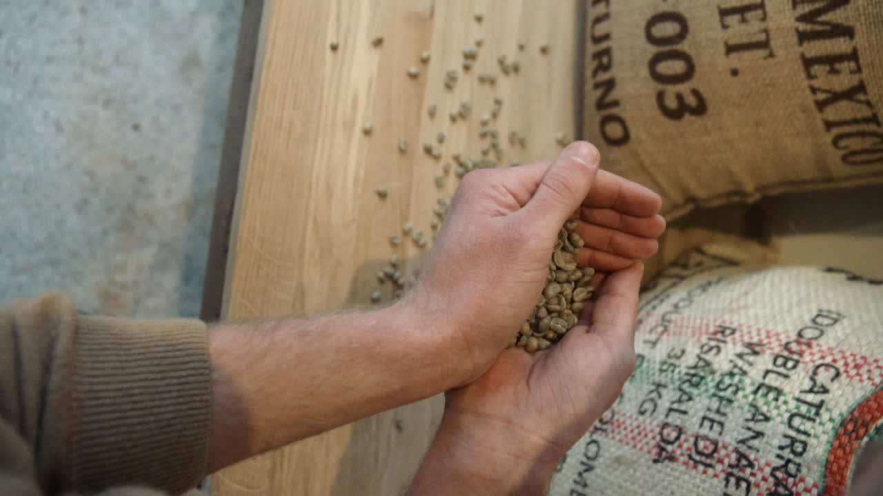 Barista smelling raw coffee beans. Slow Motion Vertical
