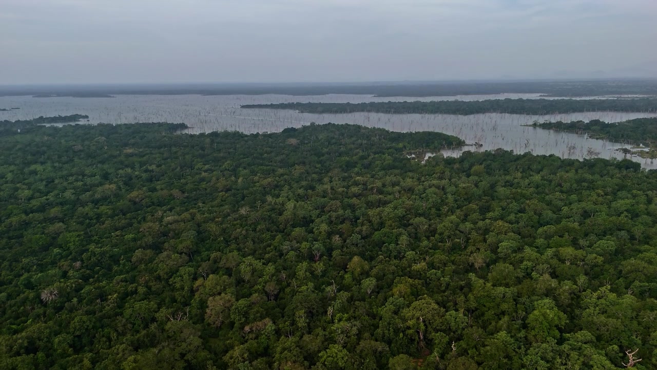 Endless green forest stretches toward the calm waters of Weheragala Reservoir under a hazy daytime sky.