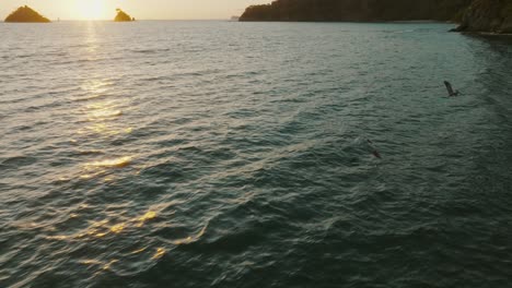 Grupo-De-Pájaros-Pelícanos-Sobre-La-Playa-De-La-Puesta-Del-Sol-En-Costa-Rica-Cerca-De-Guanacaste