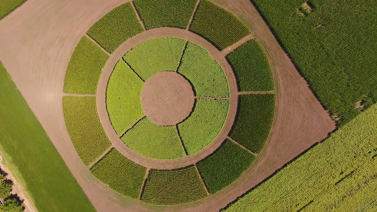 Field with agricultural plants grown on circle field. Unusual plantation with different crops among other farmlands.