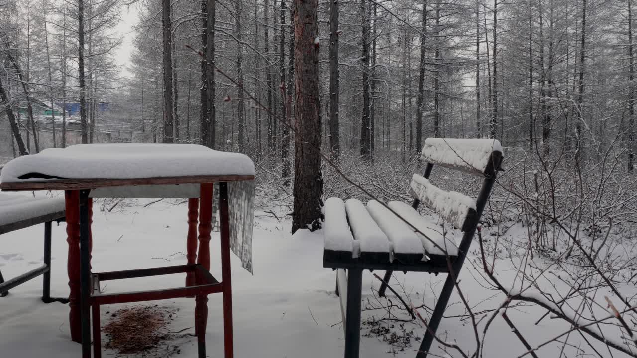 Quiet winter forest scene with snow-covered table and benches. Peaceful landscape evokes stillness and seasonal beauty