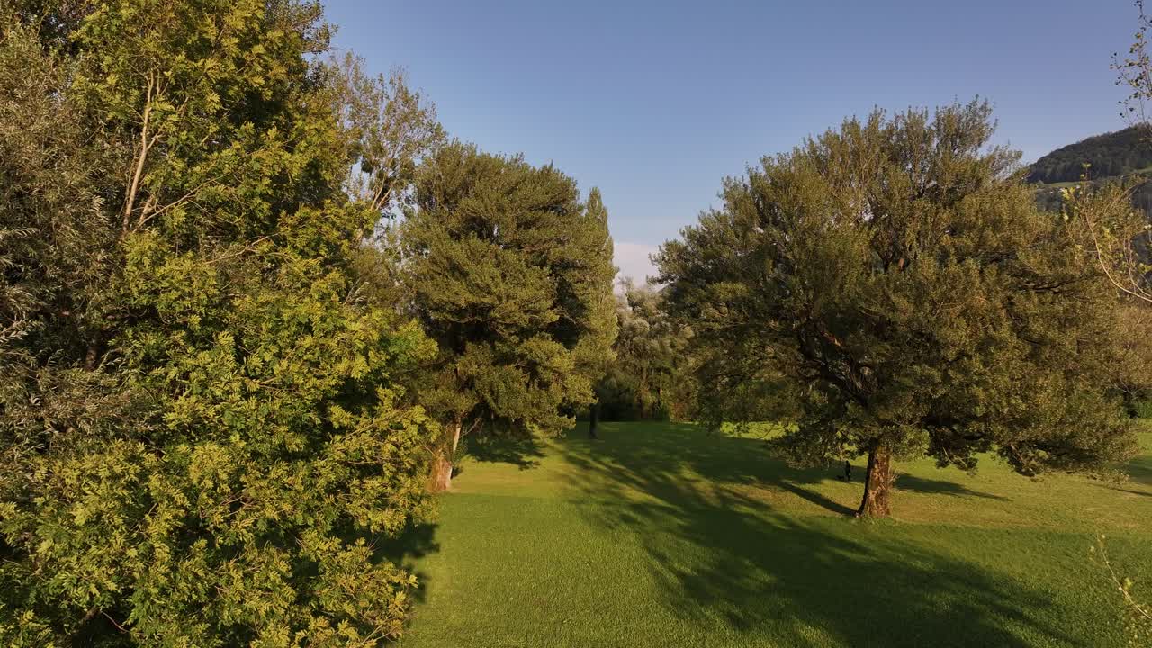 Drone view rising from a forest, revealing the stunning landscape of Lake Walensee, surrounded by mountains in Switzerland