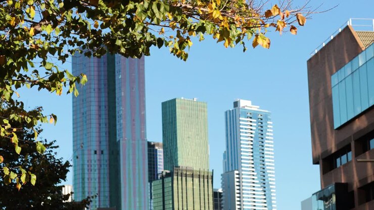 Horizonte urbano com edifícios e folhagem