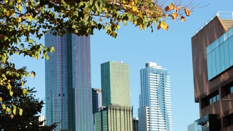 horizonte urbano con edificios y follaje