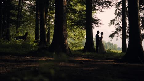 Couple-silhouettes-sitting-face-to-face-in-the-forest-surrounded-by-the-lush-greenery-of-towering-trees