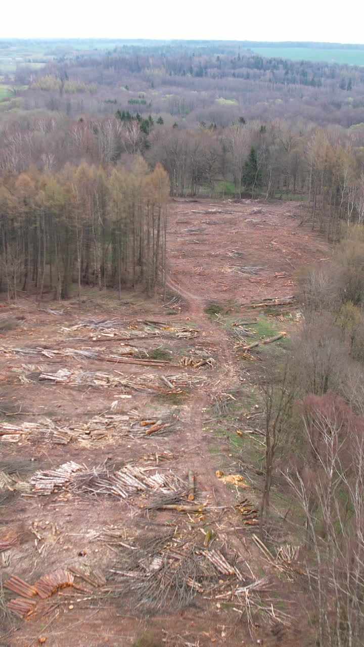 High angle aerial shot showing a large area of cleared woodland with cut logs and branches scattered across the ground, illustrating deforestation and industrial logging