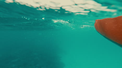 underwater scenery with kayak paddle