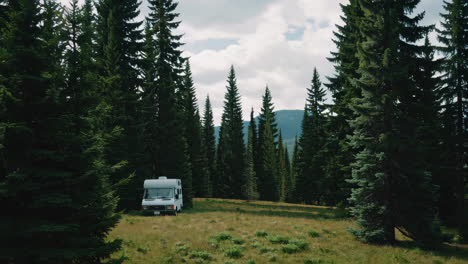 white camper van in a pine forest
