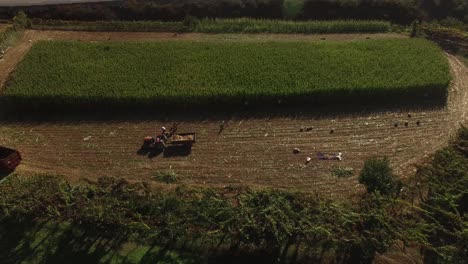 Tractor-Agrícola-Campo-De-Cultivo-Vista-Aérea