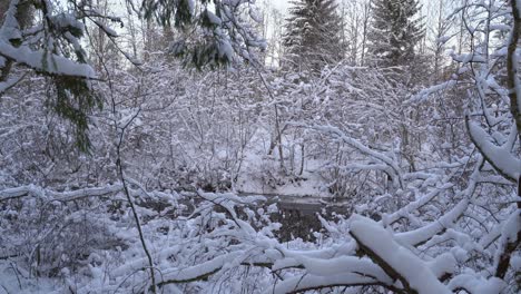 Invierno-En-La-Orilla-Del-Río