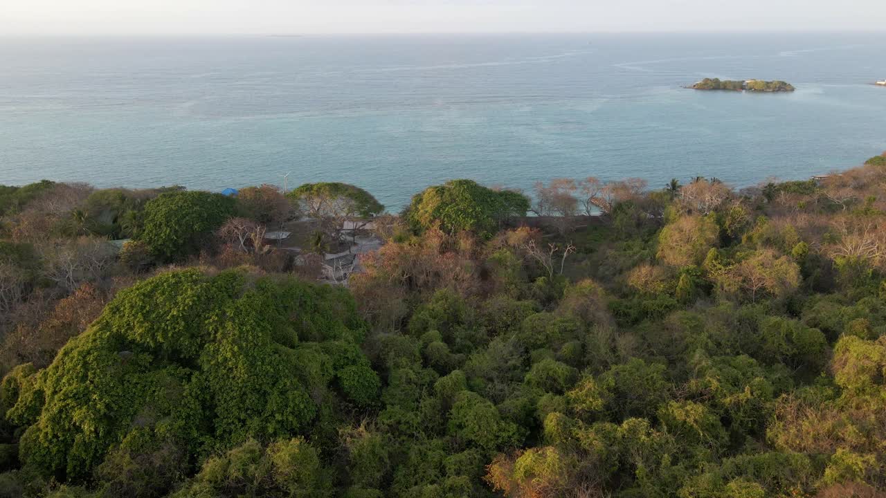 isla grande costa del mar caribe aérea sobre el dosel del bosque tropical colombia