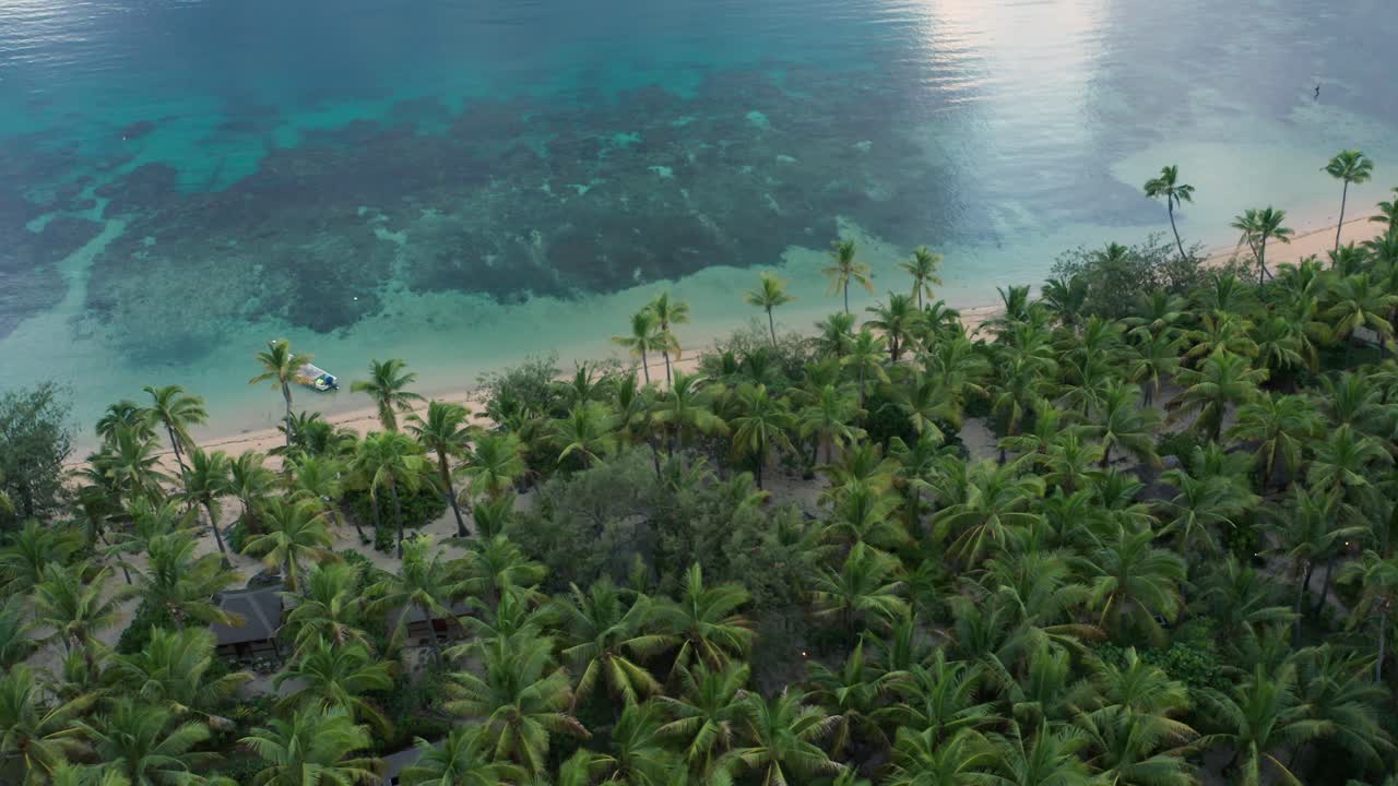 Akvamarin vand og frodige grønne palmer på en tropisk strand på Fiji, luftfoto.