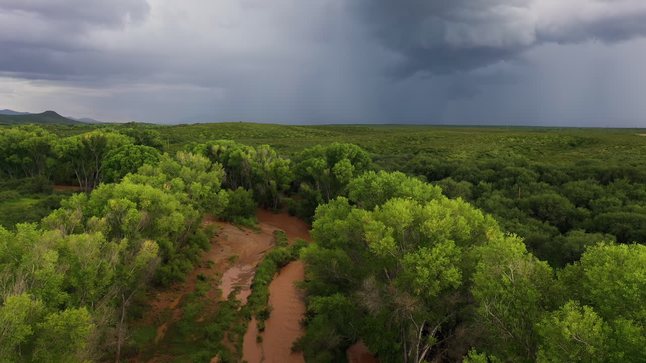 Drone si innalza sopra pioppi verdi e fiume con imponenti nuvole monsoniche