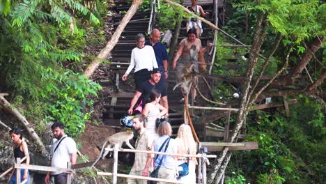 grupo de personas caminando por las escaleras de la jungla