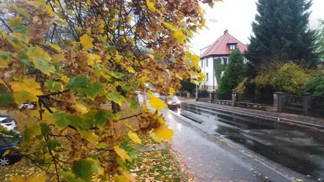 Rainy-day-trees-and-cars-driving-in-local-town