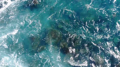 turtle is pulled through the rocks by waves as it feeds and takes breathing breaks