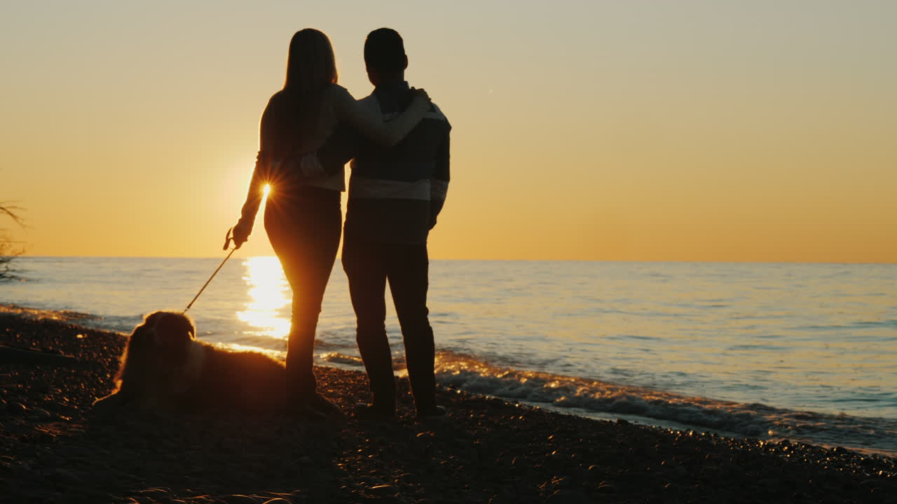 강아지와 함께 일몰을 보는 커플