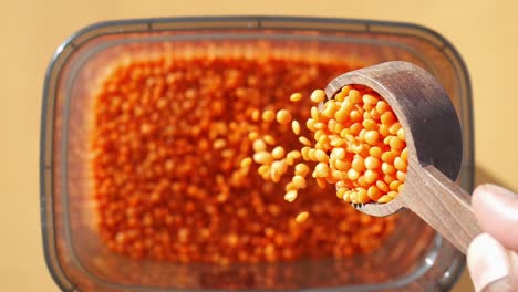 red lentils in a bowl